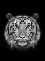 Tiger im Dunkeln Diamond Painting