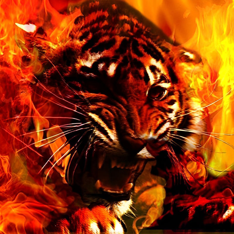 Tiger im Feuer Diamond Painting