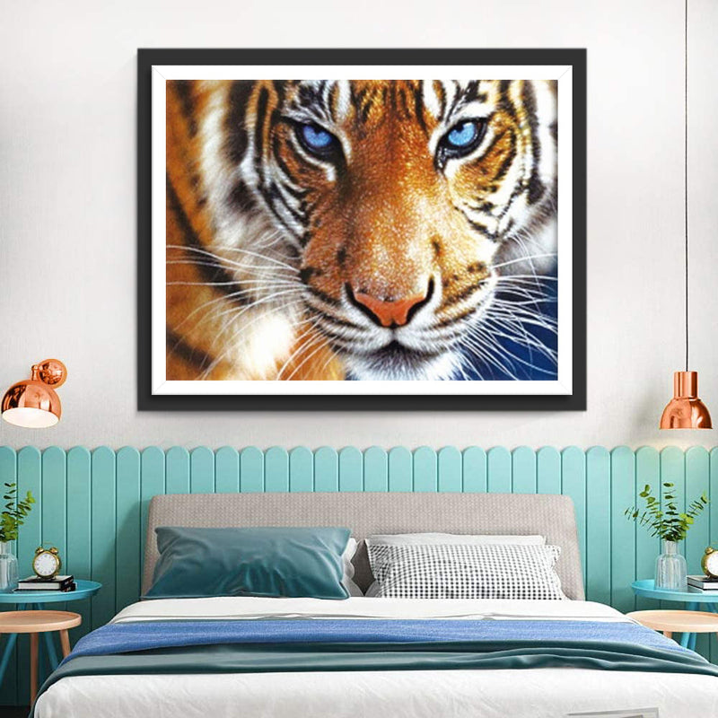 Tiger mit blauen Augen Diamond Painting