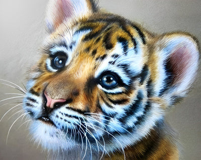 Tigerjunges Diamond Painting