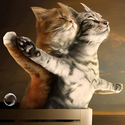 Titanic Katzen Diamond Painting