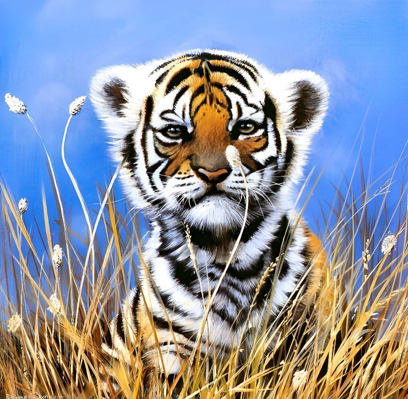 Trauriger junger Tiger Diamond Painting