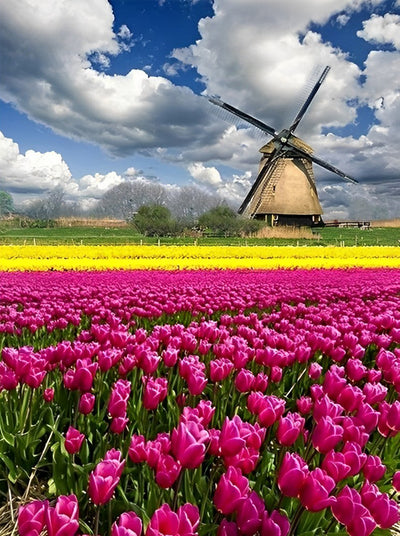 Tulpen und Windmühle Diamond Painting