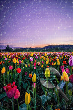 Tulpenfeld und lila Himmel Diamond Painting