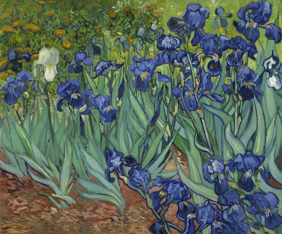 Van Gogh, Iris Diamond Painting