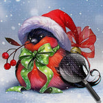 Vogel mit Weihnachtsmütze Diamond Painting