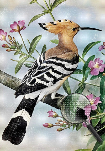 Vogel Wiedehopf Diamond Painting