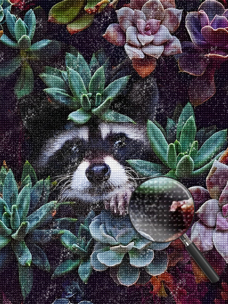 Waschbär Sukkulenten Diamond Painting