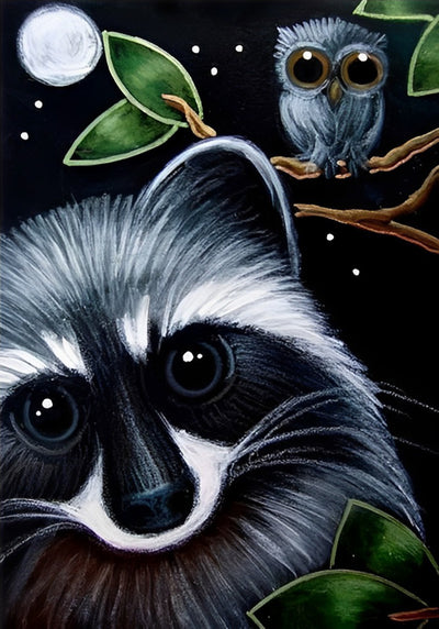 Waschbär und Eule Diamond Painting