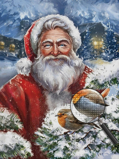 Weihnachtsmann und kleine Vögel Diamond Painting