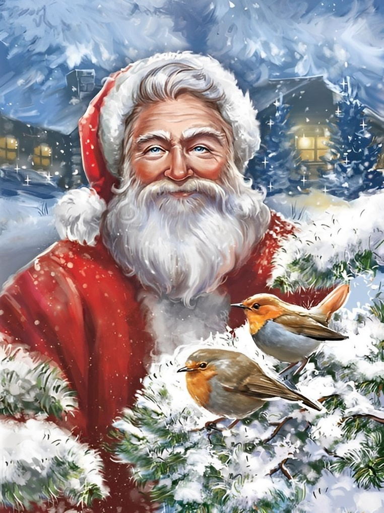 Weihnachtsmann und kleine Vögel Diamond Painting