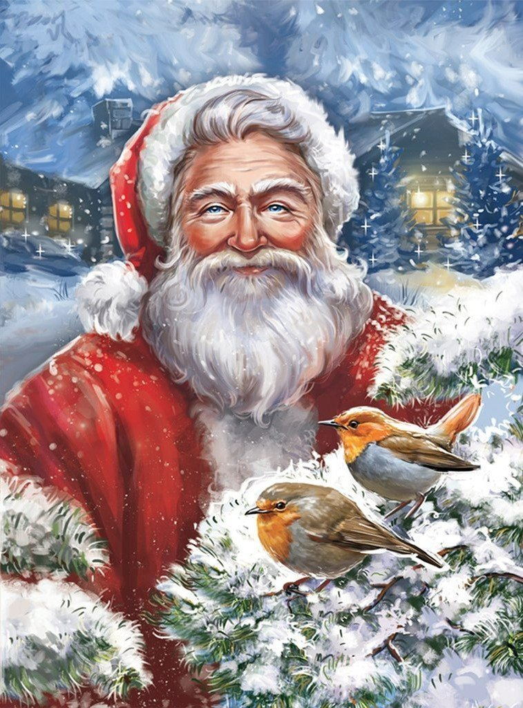 Weihnachtsmann und Vögel im Schee Diamond Painting