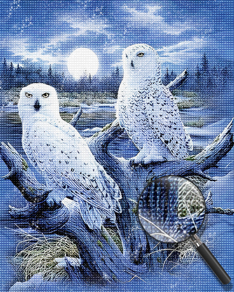 Weiße Eulen und Vollmond Diamond Painting