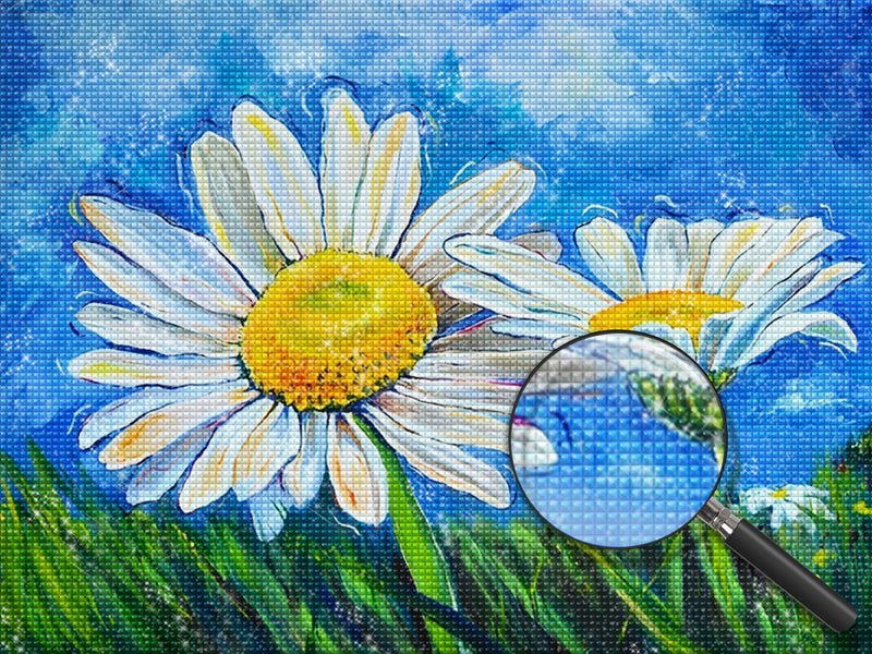 Weiße Gänseblümchen unter blauem Himmel Diamond Painting