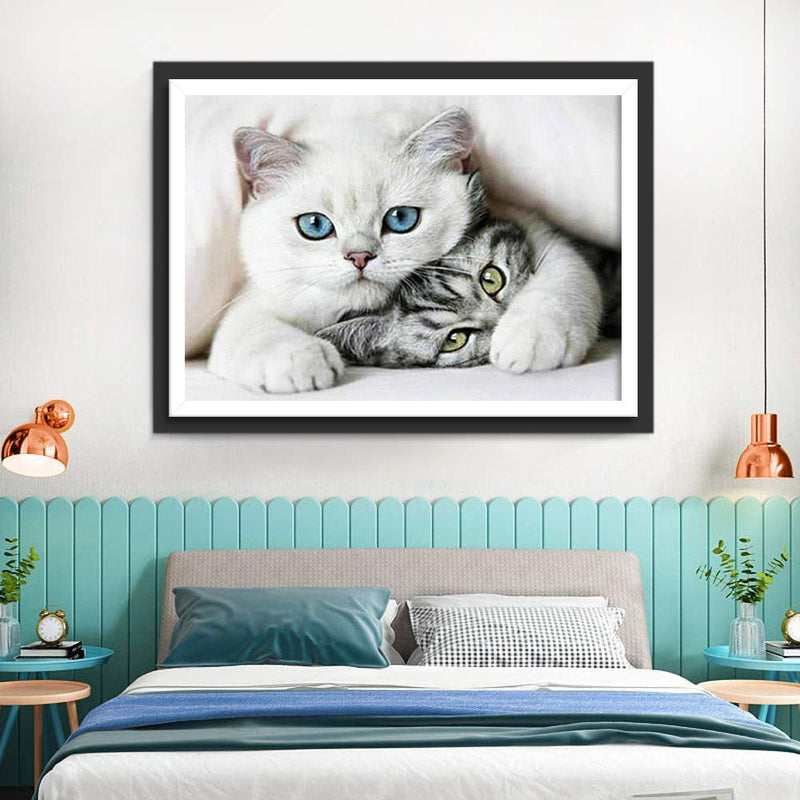 Weiße Katze und graue Katze Diamond Painting