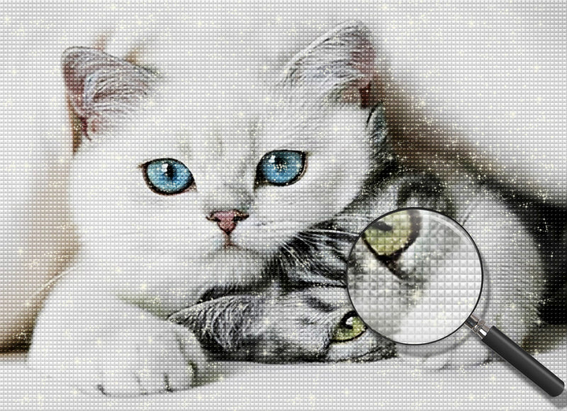 Weiße Katze und graue Katze Diamond Painting