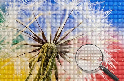 Weiße Pusteblume Diamond Painting