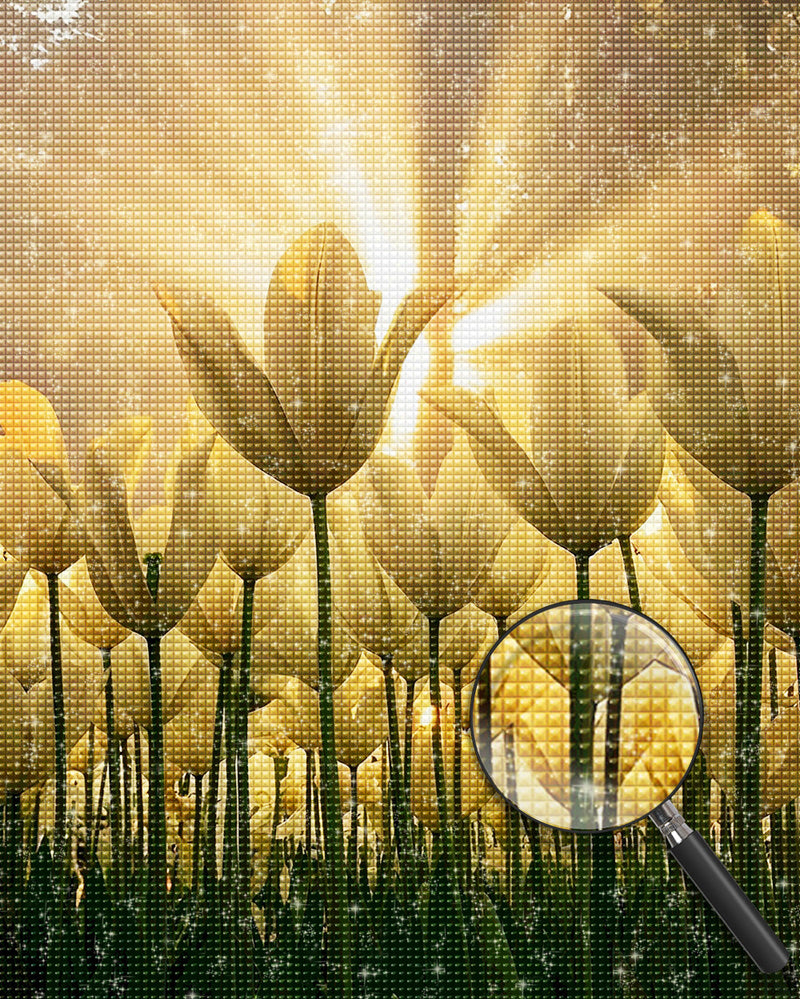 Weiße Tulpen unter der Sonne Diamond Painting