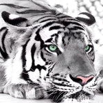 Weißer Tiger mit grünen Augen Diamond Painting