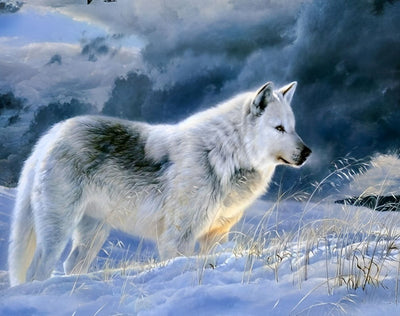 Weißer Wolf im Schnee Diamond Painting