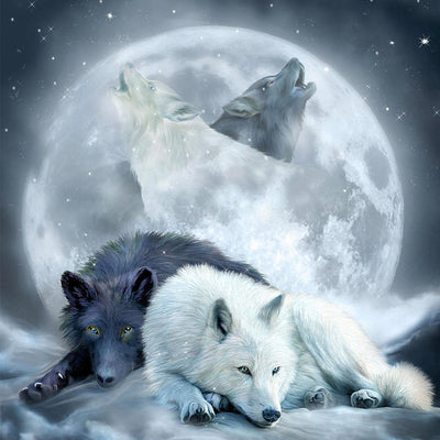 Weißer Wolf und schwarzer Wolf Diamond Painting