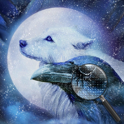 Weißer Wolf, Vollmond und Rabe Diamond Painting