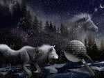 Weißes Einhorn und Wolf Diamond Painting