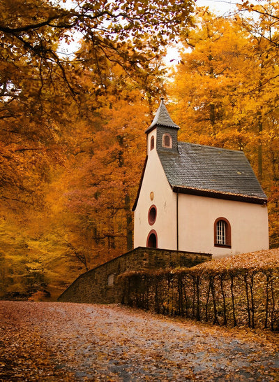 Weißes Haus im Ahornwald Diamond Painting