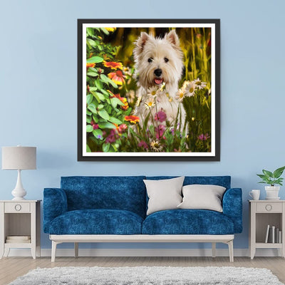 West Highland White Terrier in den Blumen Diamond Painting