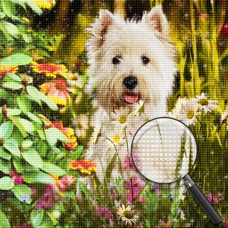 West Highland White Terrier in den Blumen Diamond Painting