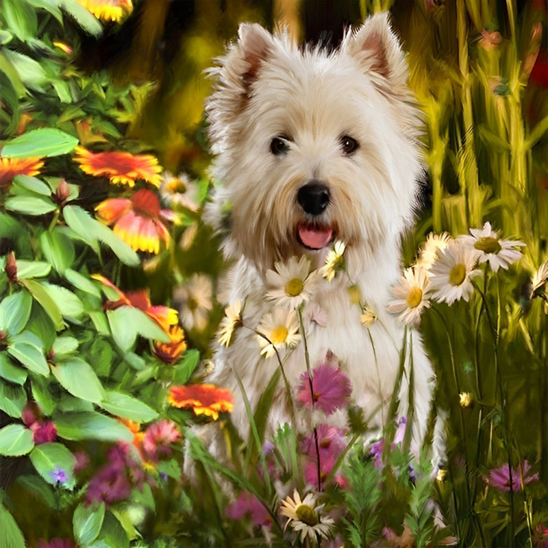 West Highland White Terrier in den Blumen Diamond Painting