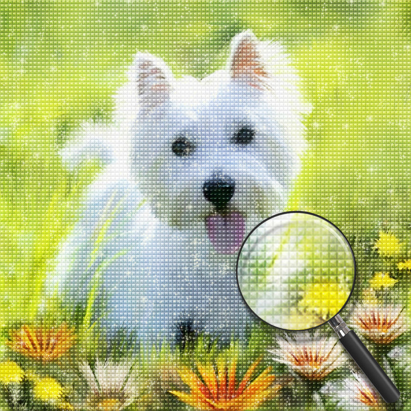 Westie-Hund auf dem Gras Diamond Painting