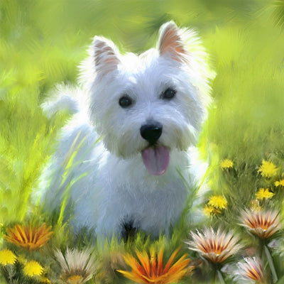 Westie-Hund auf dem Gras Diamond Painting