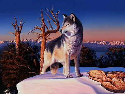 Wolf auf dem schneebedeckten Gipfel Diamond Painting