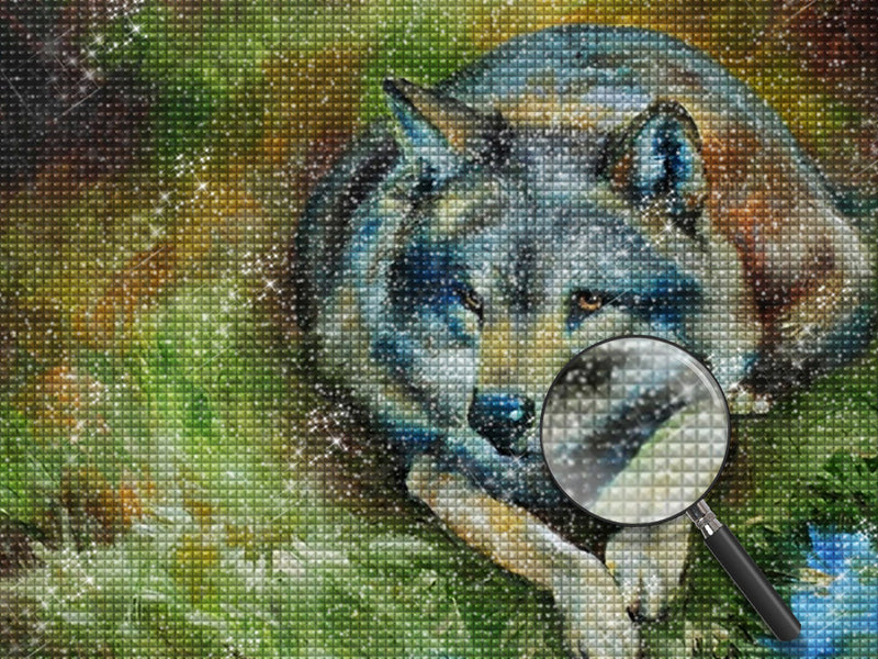 Wolf auf der Wiese Diamond Painting