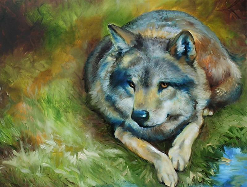 Wolf auf der Wiese Diamond Painting