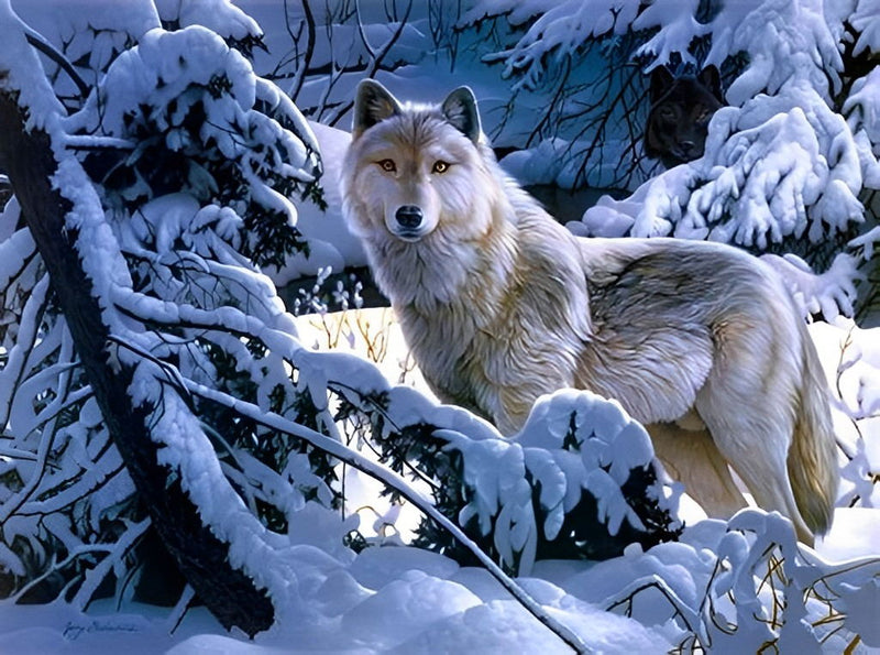 Wolf im Schnee Diamond Painting