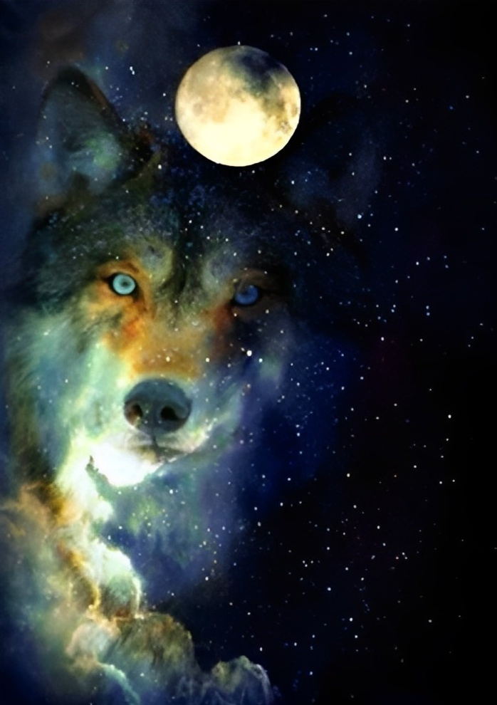 Wolf Mond Sternenhimmel Diamond Painting