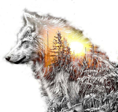 Wolf Wald Diamond Painting