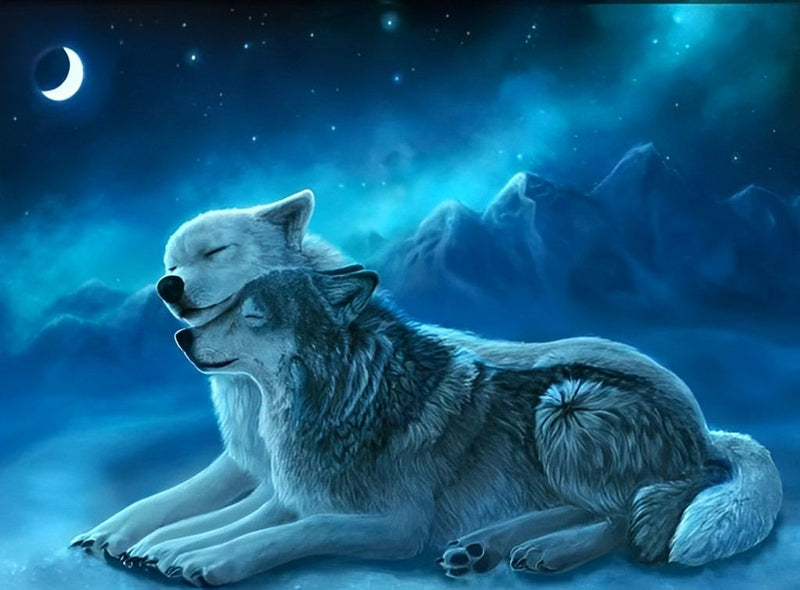 Wolfspaar in der Nacht Diamond Painting