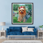 Yorkshire Terrier auf dem Gras Diamond Painting