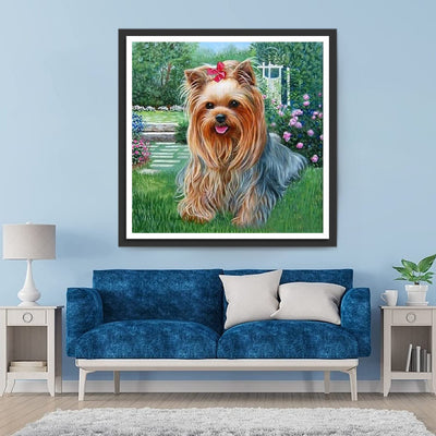 Yorkshire Terrier auf dem Gras Diamond Painting