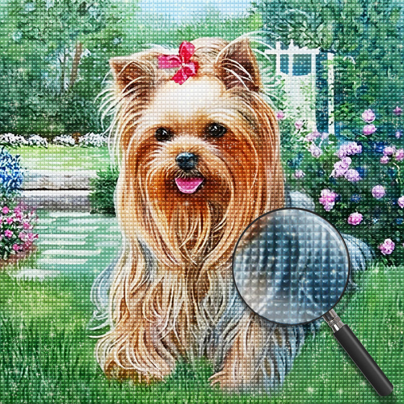 Yorkshire Terrier auf dem Gras Diamond Painting