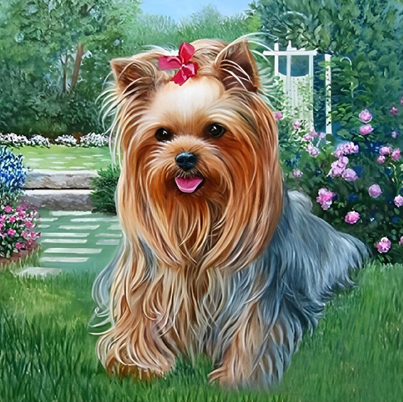 Yorkshire Terrier auf dem Gras Diamond Painting