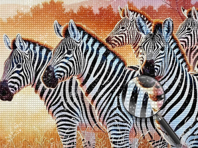 Zebras auf der Wiese Diamond Painting