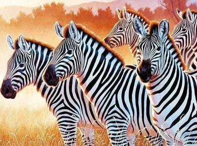 Zebras auf der Wiese Diamond Painting