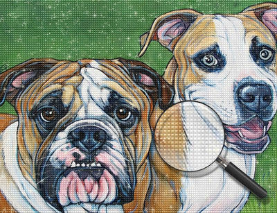 Zwei Bulldoggen Diamond Painting