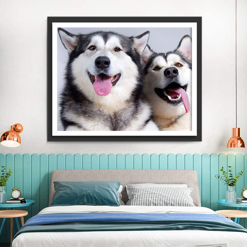 Zwei Huskys Diamond Painting