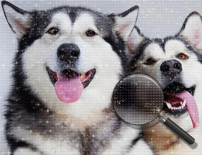 Zwei Huskys Diamond Painting