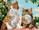 Zwei Katzen auf dem Dachvorsprung Diamond Painting